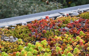 the cost of Great Marton Moss green roof installation