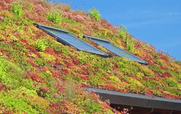 Great Marton Moss living roof systems