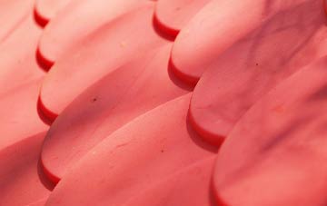 Great Marton Moss plastic roof costs