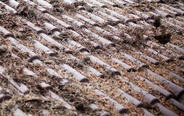 Great Marton Moss roof cleaning companies