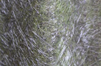 Great Marton Moss fibreglass roof work